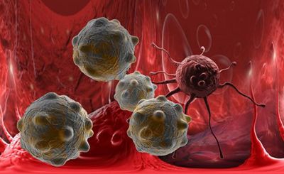 Исследователи рака заявляют о «выдающихся результатах» терапии с использованием т-клеток - «наука»