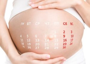 Как рассчитать календарь беременности
