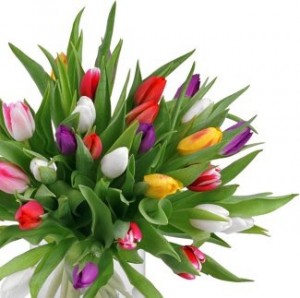 Какой букет цветов подарить на 8 марта