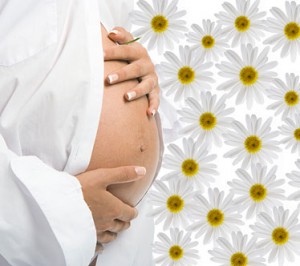 Некоторые рекомендации потенциальным мамам на 5 неделе беременности