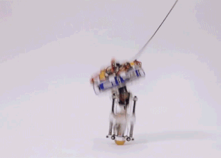 В disney создали прыгающего одноногого робота